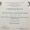 Ampliar imagen: certificate 22