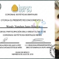 Ampliar imagen: certificate 5
