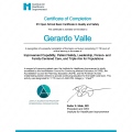 Ampliar imagen: certificate 4