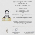 Ampliar imagen: certificate 11