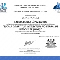 Ampliar imagen: certificate 6