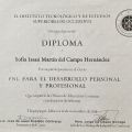 Ampliar imagen: certificate 2