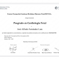 Ampliar imagen: certificate 10
