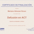 Ampliar imagen: certificate 9