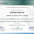 Ampliar imagen: certificate 21