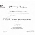 Ampliar imagen: certificate 3