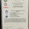 Ampliar imagen: certificate 3