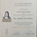 Ampliar imagen: certificate 1