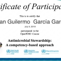 Ampliar imagen: certificate 3
