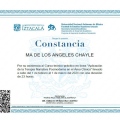 Ampliar imagen: certificate 4