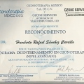 Ampliar imagen: certificate 13