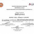 Ampliar imagen: certificate 5