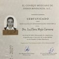 Ampliar imagen: certificate 3