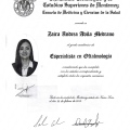 Ampliar imagen: certificate 3