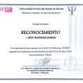 Ampliar imagen: certificate 11