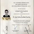 Ampliar imagen: certificate 6