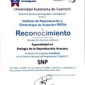 Ampliar imagen: certificate 3