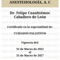 Ampliar imagen: certificate 3