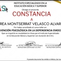 Ampliar imagen: certificate 9
