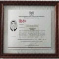 Ampliar imagen: certificate 1