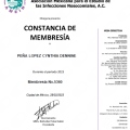 Ampliar imagen: certificate 2