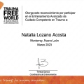 Ampliar imagen: certificate 7