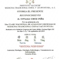 Ampliar imagen: certificate 4
