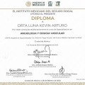 Ampliar imagen: certificate 3