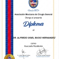 Ampliar imagen: certificate 2