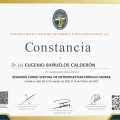 Ampliar imagen: certificate 20