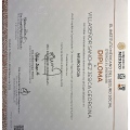 Ampliar imagen: certificate 4