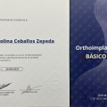 Ampliar imagen: certificate 2