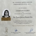 Ampliar imagen: certificate 1