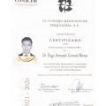 Ampliar imagen: certificate 6