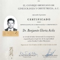 Ampliar imagen: certificate 3