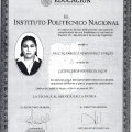 Ampliar imagen: certificate 3