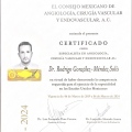 Ampliar imagen: certificate 4