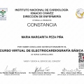 Ampliar imagen: certificate 5