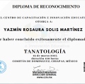 Ampliar imagen: certificate 10