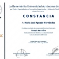 Ampliar imagen: certificate 3