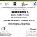 Ampliar imagen: certificate 19