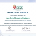 Ampliar imagen: certificate 23
