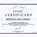 Ampliar imagen: certificate 7