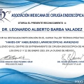 Ampliar imagen: certificate 13