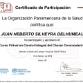 Ampliar imagen: certificate 16