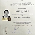 Ampliar imagen: certificate 3