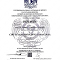 Ampliar imagen: certificate 2
