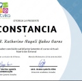 Ampliar imagen: certificate 9