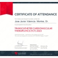 Ampliar imagen: certificate 10