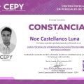 Ampliar imagen: certificate 11